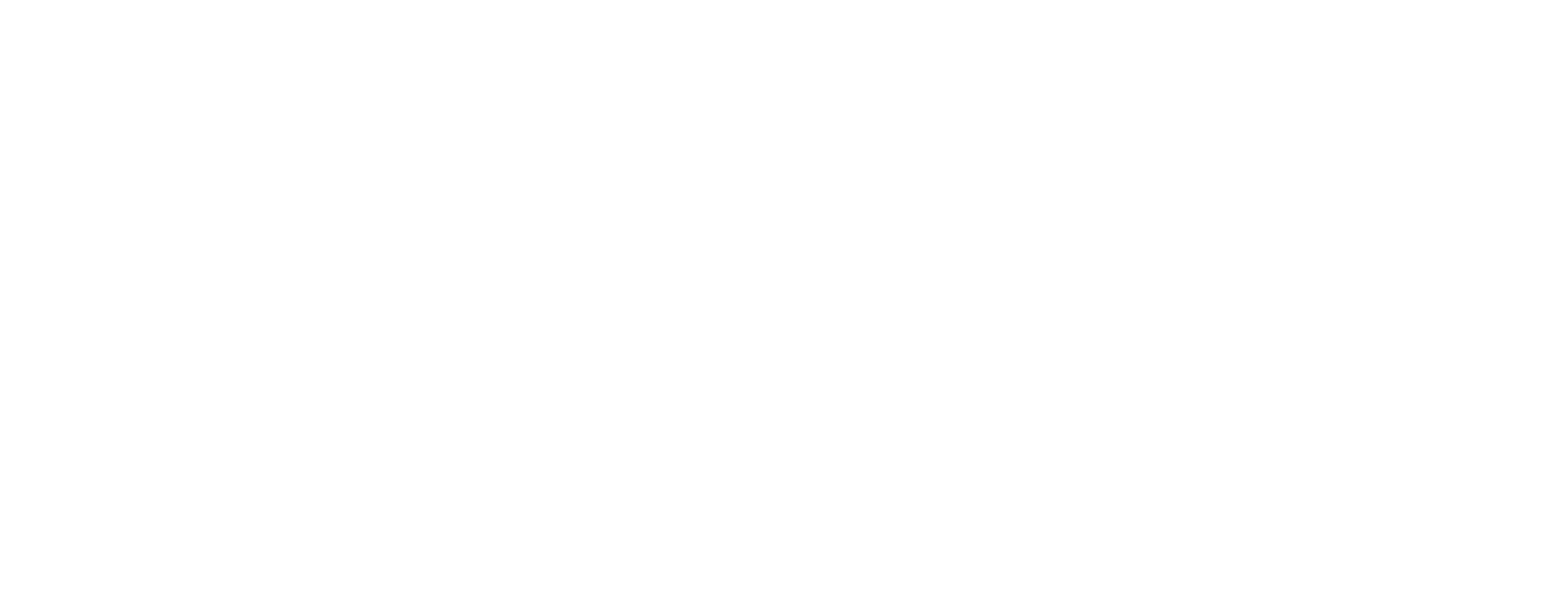 LeanTechniques-Logo_White-01 (2)-1